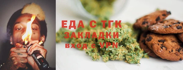 индика Осинники