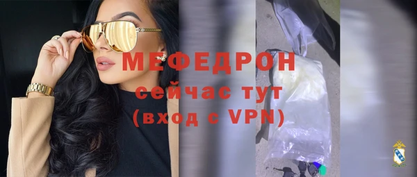 индика Осинники
