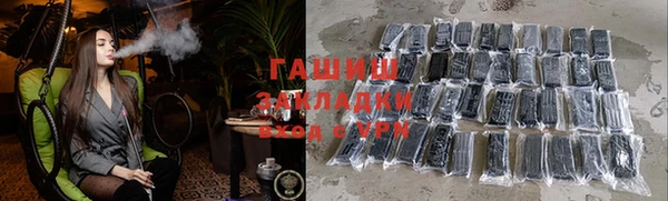 индика Осинники