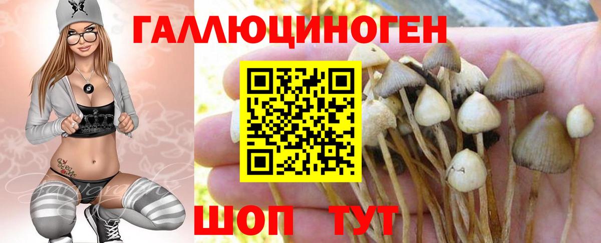 Псилоцибиновые грибы мухоморы Нальчик