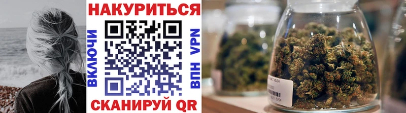 Конопля гибрид  Нальчик 